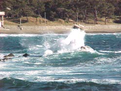 �O�Y����